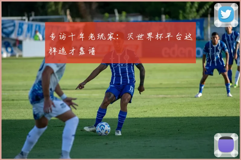 专访十年老玩家：买世界杯平台这样选才靠谱